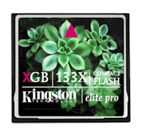 Memoria Compact Flash 16GB